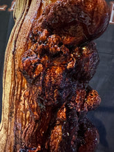 Load image into Gallery viewer, SOOEY