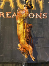 Load image into Gallery viewer, SOOEY