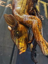 Load image into Gallery viewer, SOOEY