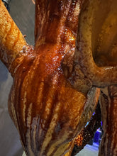 Load image into Gallery viewer, SOOEY