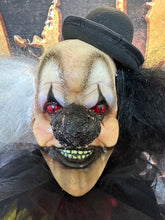 Load image into Gallery viewer, HARDY