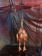 Load image into Gallery viewer, LUCKY