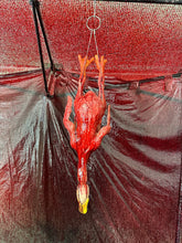 Load image into Gallery viewer, QUACK