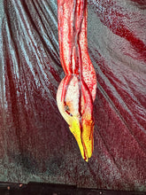 Load image into Gallery viewer, QUACK