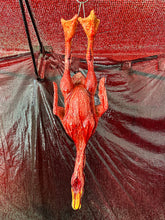 Load image into Gallery viewer, QUACK