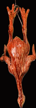 Load image into Gallery viewer, KUNG PAO