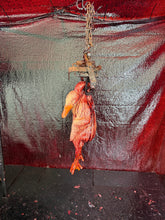 Load image into Gallery viewer, TRAPT DUCK