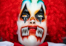 Load image into Gallery viewer, TRANSGINGER