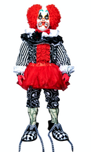 Load image into Gallery viewer, TRANSGINGER