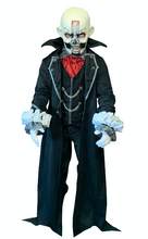 Load image into Gallery viewer, SIN