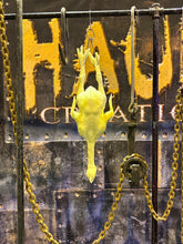 Load image into Gallery viewer, SALMONELLA