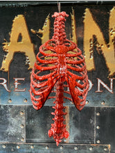 Load image into Gallery viewer, LIFE-SIZE RIB CAGE