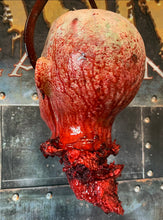 Load image into Gallery viewer, BLOCKHEAD