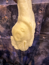 Load image into Gallery viewer, SALMONELLA