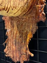 Load image into Gallery viewer, PORKY ON A WALL