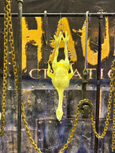 Load image into Gallery viewer, SALMONELLA