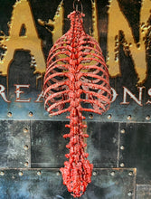 Load image into Gallery viewer, LIFE-SIZE RIB CAGE
