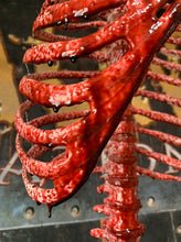 Load image into Gallery viewer, LIFE-SIZE RIB CAGE
