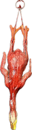 QUACK