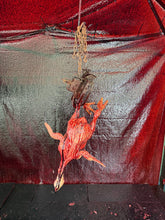 Load image into Gallery viewer, TRAPT CHICKEN
