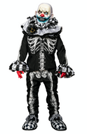 BONES