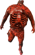 MUTILATE