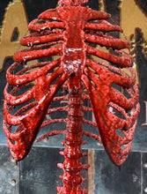 Load image into Gallery viewer, LIFE-SIZE RIB CAGE
