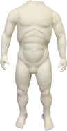 FOAM BODY